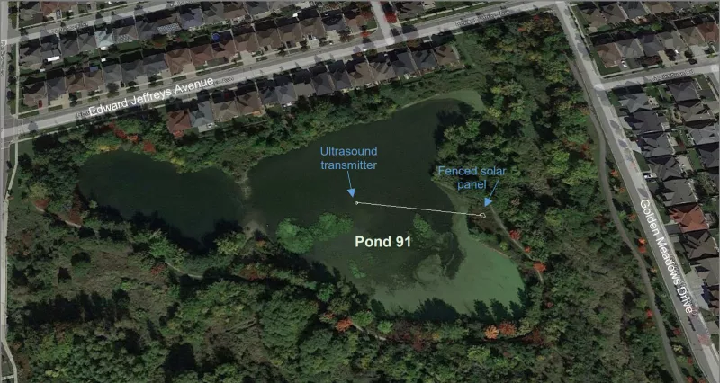 Location map for Pond 91
