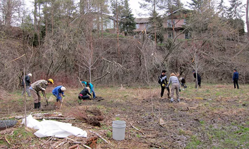 2014_Alcove-Tree-Planting