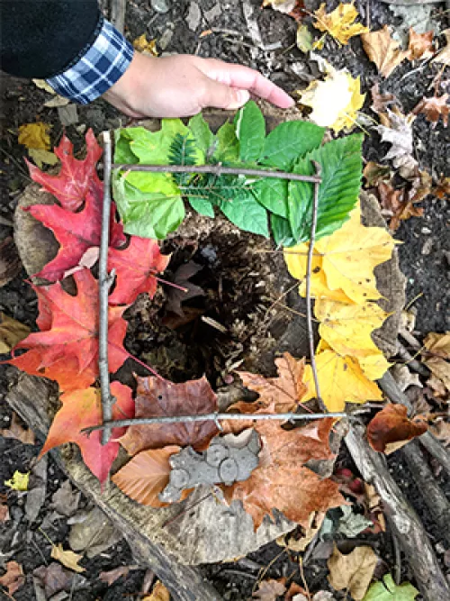 Shinrin Yoku trail Rouge Valley