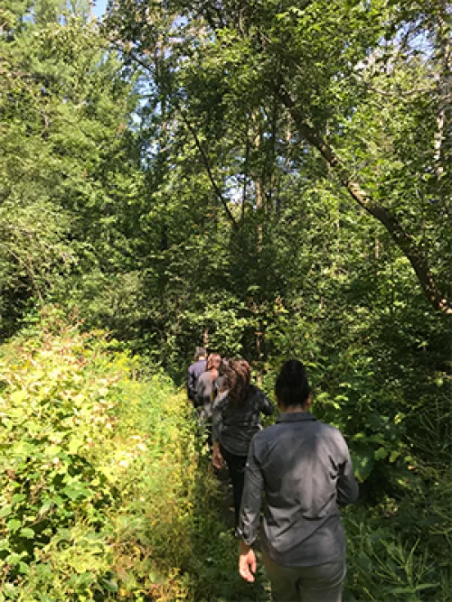 Shinrin Yoku trail Springdale