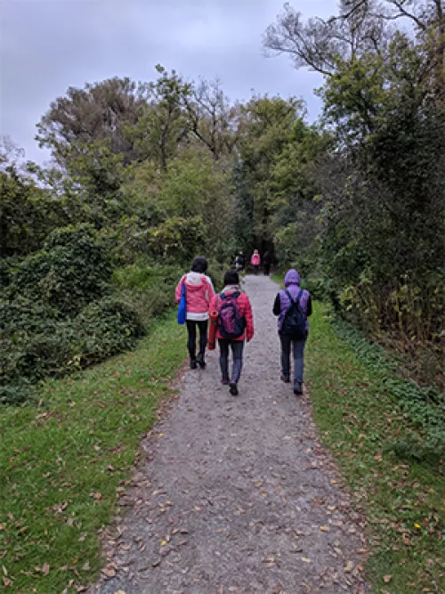Shinrin Yoku trail Toogood Pond