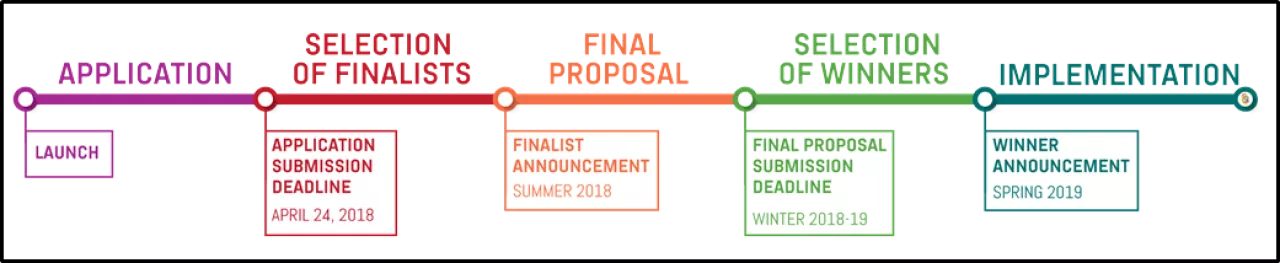 Selection Process and Timeline